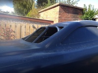 gallery/7 Body Story